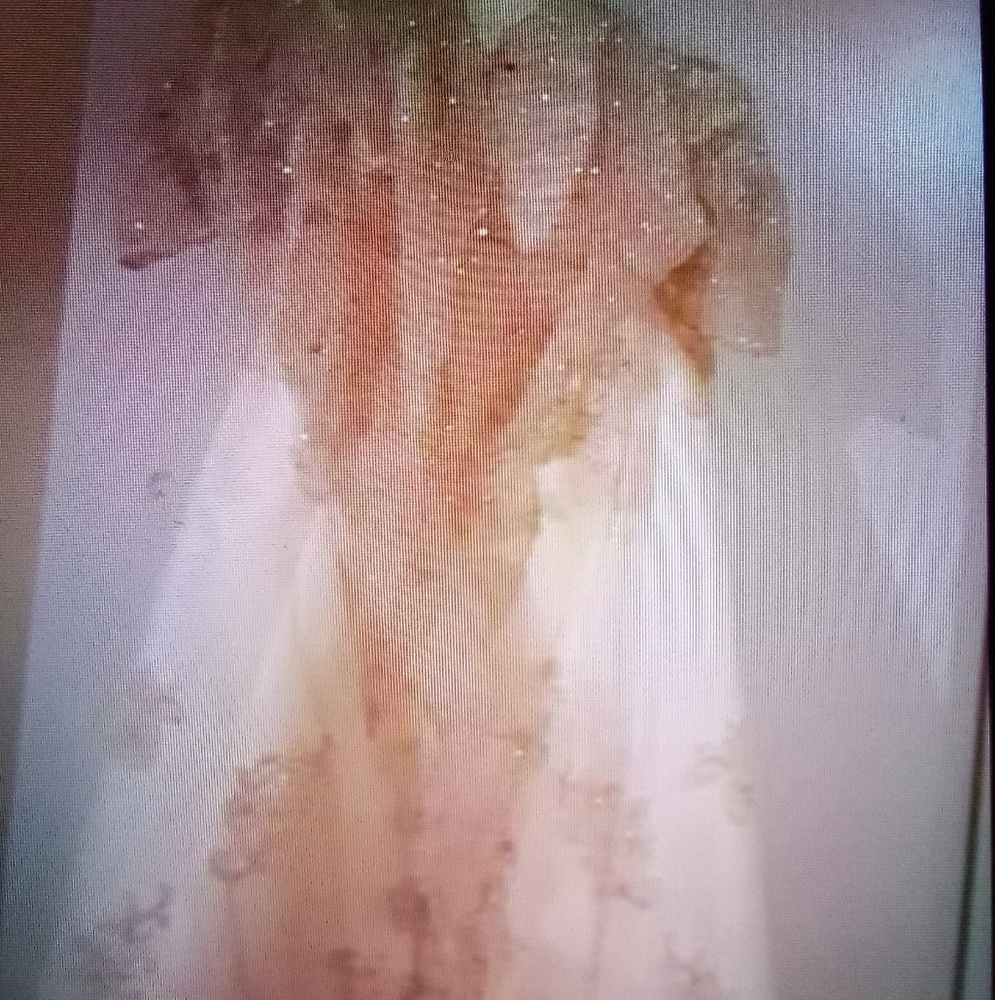 The wedding dresses are memories